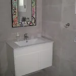 Planitas