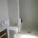 Planitas