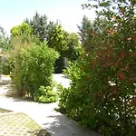 Planitas * Skopelos