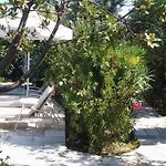 Planitas Skopelos