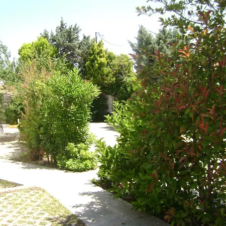 Planitas * Skopelos Town