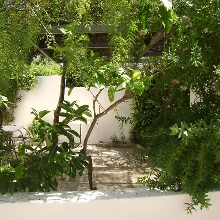 Planitas
