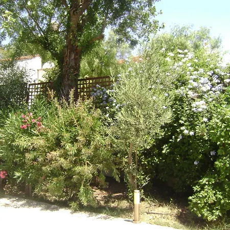 Planitas Villa
