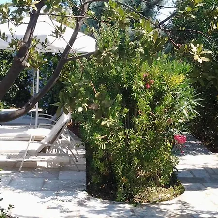 Planitas Skopelos Town