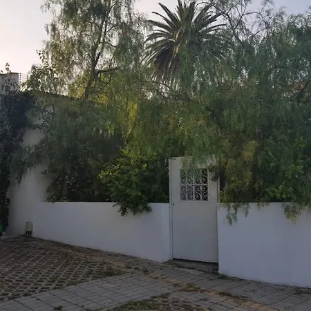Planitas Skopelos Town